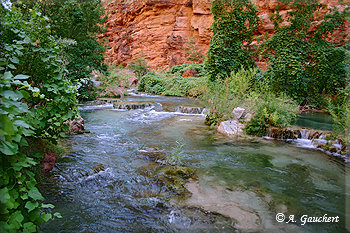 Havasu Creek